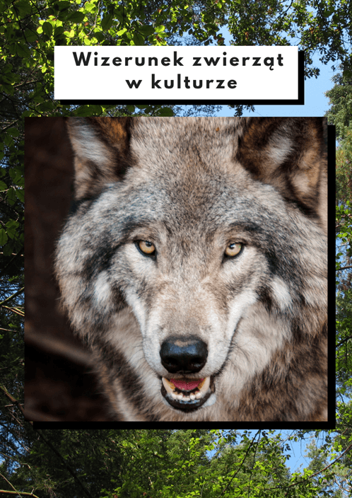 Wizerunek zwierząt w kulturze