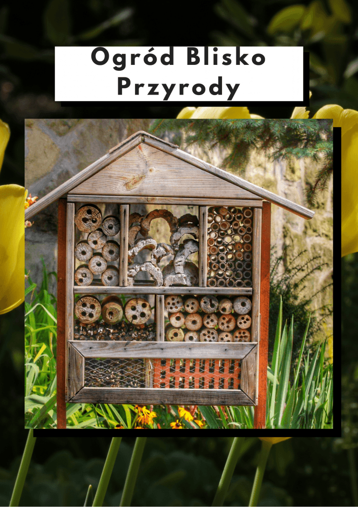 Ogród blisko przyrody
